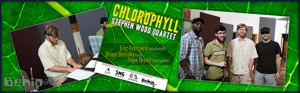 Stephen Wood Quartet - Chlorophyll
